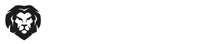 Liontron GmbH & Co. KG